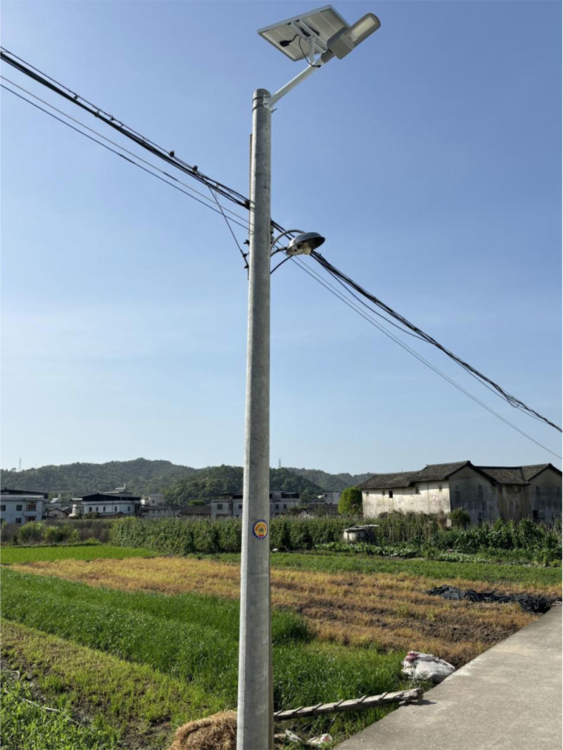 市残联推动社会组织向梅州市西阳镇四平村捐赠太阳能路灯60盏0421(2)397