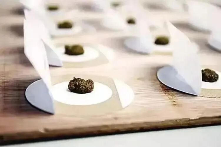 微信图片_2025-12-01_163205_207